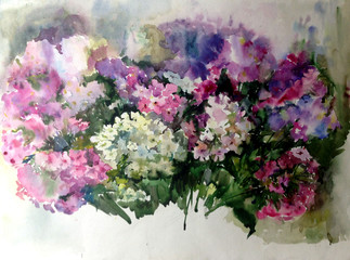watercolor art  background floral  exotic spring flowers bouquet phlox   bloom painting bright blurred textured  decoration  hand beautiful colorful delicate romantic