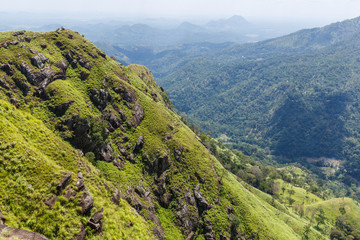 Naklejka premium ELLA, SRI LANKA - JAN 17, 2017: beautiful scenic view of mountains covered with green plants in Asia