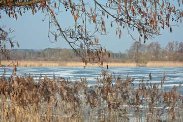 Zamarznięte jezioro © Mariusz Stoszewski