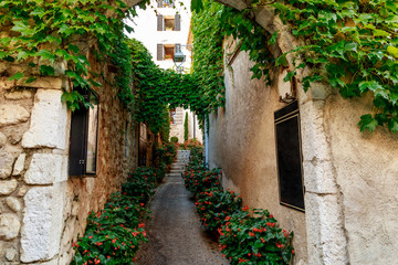 narrow street of old european town decorated with flower bushes and vine, Antibes, France