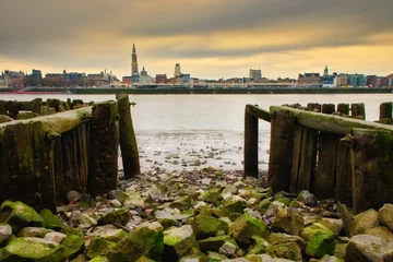 Foto op Aluminium A beautiful cityscape of Antwerp. The river Scheldt shows Antwerp skyline with low water. Rocks in the foreground. © Jochem Herremans