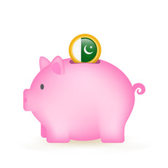Pakistan Flag Coin Piggy Bank Savings
