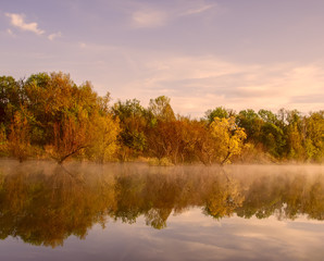 Fototapeta na wymiar Early morning on the river. Fog over the water, trees with bright foliage. Soft gentle light. 