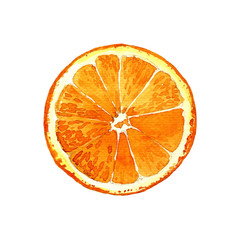 Orange cut watercolor painted isolated on white background. - 198606703