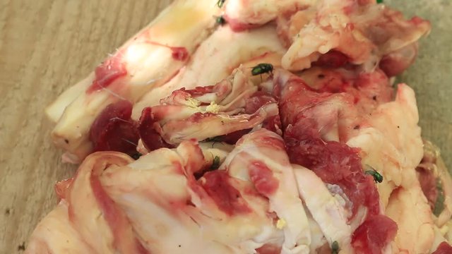 many flies on meat