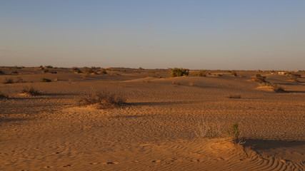 Algerie Desert du Sahara