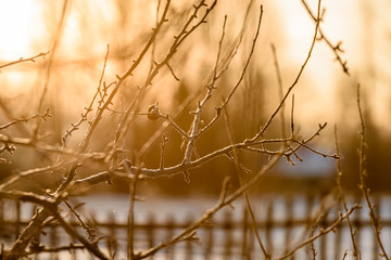 wooden plank fence in countryside