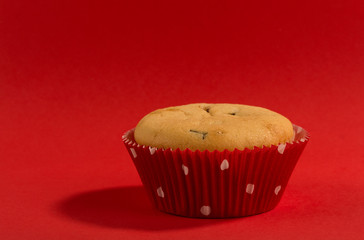 one muffin with red moulds on a red background