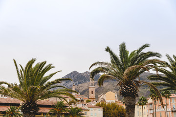Fototapeta na wymiar Palm trees and building of small town at France, Menton, France