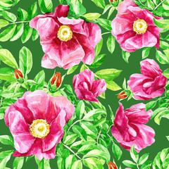 Watercolour repeating pattern of flowers of wild rose.