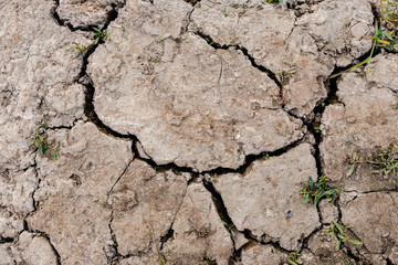 dry soil texture on the ground