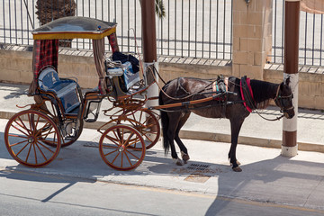 Fototapeta na wymiar Horse carriage tours in Valletta
