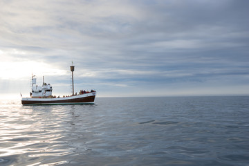 Whalewatching in der Skjálfandibucht bei Húsavík / Nord-Island