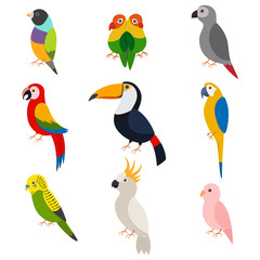 Parrots vector cartoon set: macaw, toucan, green parrot, lovebirds, cockatoos, ara, budgie and other. Flat icons of exotic birds isolated on white background.
