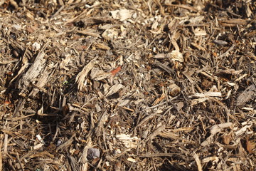 Holzspäne ,Holzschnitzel, Rindenmulch , Bodenbelag