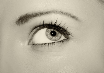 A beautiful insightful look woman's eye. 
