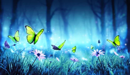 Selbstklebende Fototapete Schmetterling Feenhafte Schmetterlinge im mystischen Wald