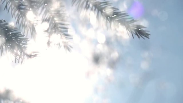 Horizontal panorama of sunny defocused snowfall and fir branches. Winter sunny lyric scene with snowflakes, sparkling on blue sky and evergreen forest background in slow motion. Charm of sun in frame.