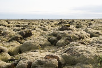 Endlose Lavafelder auf Island