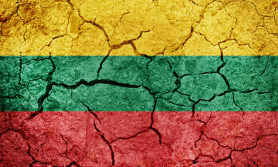 Republic of Lithuania flag
