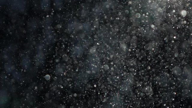 Sunny thick snowfall in shallow focus with sparkling snowflakes on dark defocused snowy forest. Abstract glittering background in slow motion. Excellent meditative and relax intro with blinking gleams
