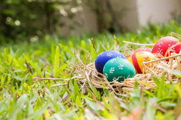 Painted Easter eggs put on the straw in the grass,easter day
