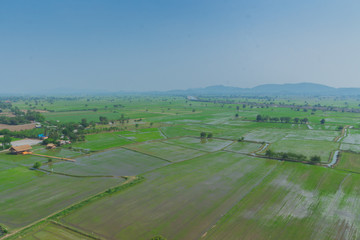 Beautiful rice field on top view in Kanchanaburi Thailand