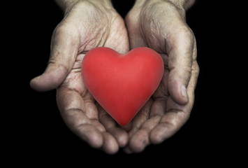 Red heart in senior hands over black background 