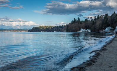 Dash Point Shoreline Landscape