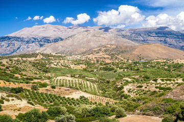 Fototapeta na wymiar Landscape at Crete Island, Greece