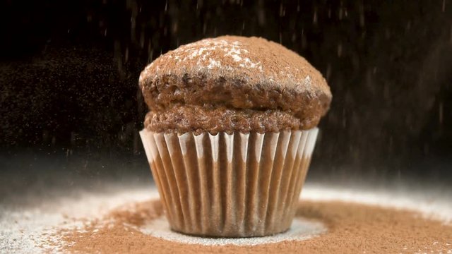 Chocolate capkake sprinkled with cocoa powder