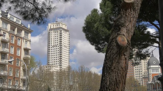 Buildings and a tree trunk