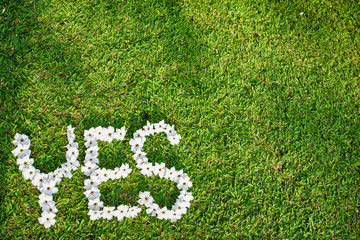 Picture of Green Lawn