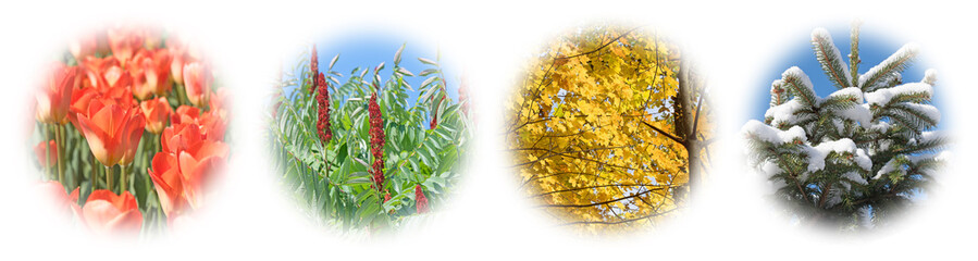 Vier Jahreszeiten, Four seasons