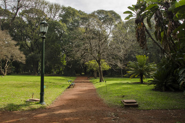 Green areas in the city