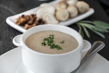 Delicious soup puree with wild mushrooms.