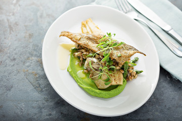 Gourmet grilled trout with crisped skin
