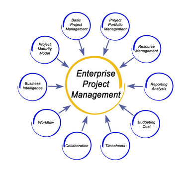 Enterprise Project Management