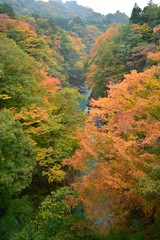 【群馬県】吾妻渓谷_吾妻川