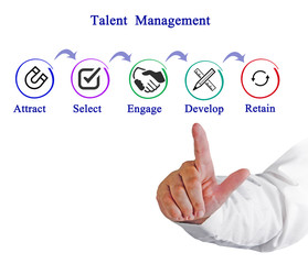 Talent  Management  Process