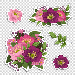 Flowers background illustration. Manual composition. Spring. Summer.