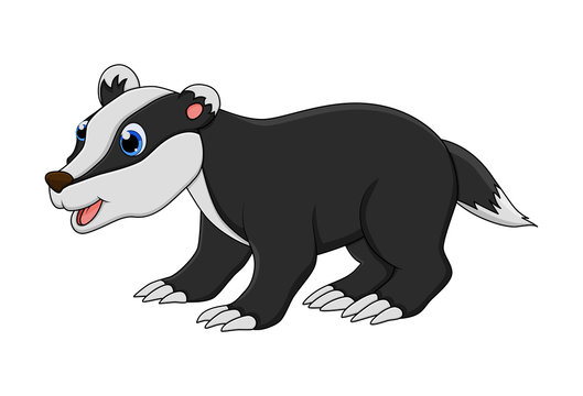 Cartoon badger animal isolated on white background