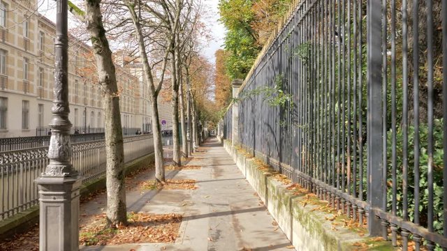 Walking on the sidewalk in quiet Paris street on sunny autumn day. Trees along the street and dry leaves on the ground, France