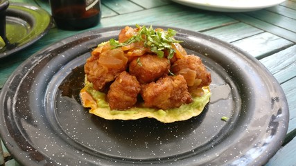 Mexican appetizer, fried tuna fish taco, restaurant in Playa del Carmen, Cancun