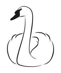 Набросок лебедя