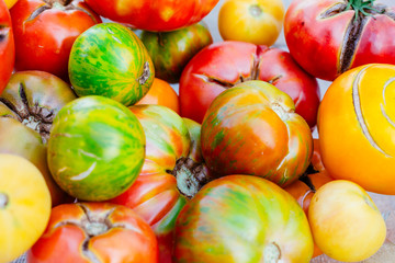 A variety of homegrown tomatoes, ranging in color from green and yellow striped to red and green to pure red, ripe for the eating.