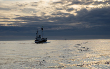 Obraz premium Whalewatching in der Skjálfandibucht bei Húsavík / Nord-Island