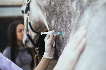 Vet giving injection to a horse. Selective focus on vet's hand. 