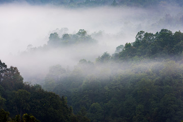 Rain forests and mist-covered mountains, Thailand