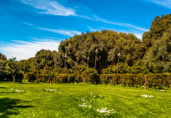 The park of Monserrato, Sassari,  in sunny day